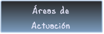 Áreas de actuación